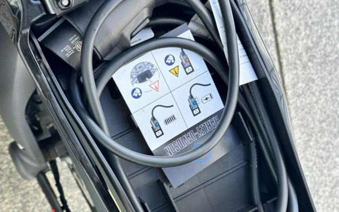 2022 LiveWire™ LiveWire ONE™