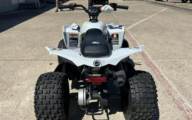 2024 Can-Am® Renegade 110 EFI