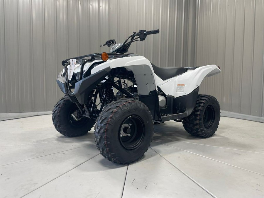 2024 Yamaha GRIZZLY 90