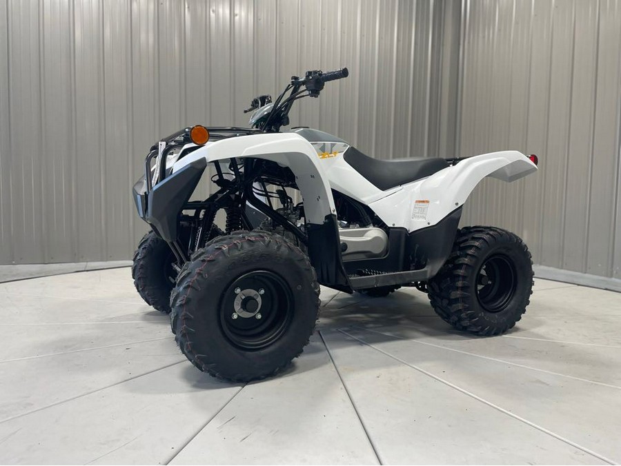 2024 Yamaha GRIZZLY 90