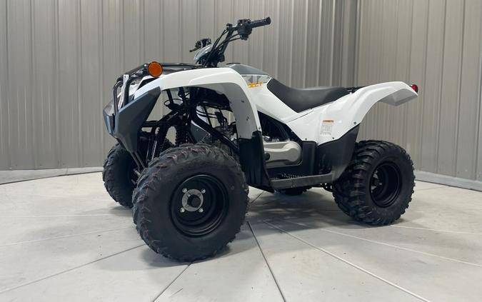 2024 Yamaha GRIZZLY 90