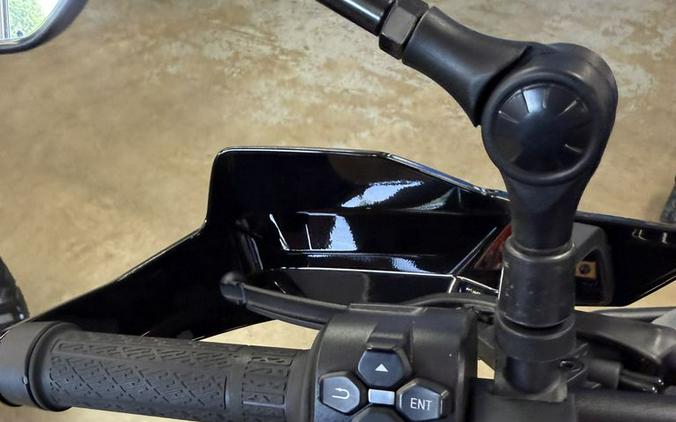 2025 CFMOTO 450 IBEX
