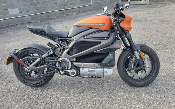 2020 Harley-Davidson LiveWire First Ride