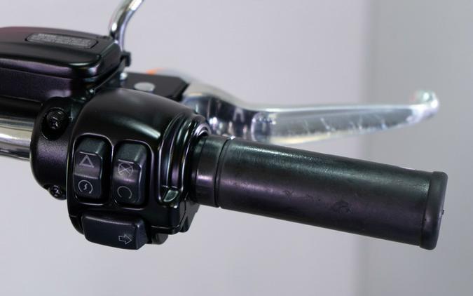 2019 Harley-Davidson Low Rider®