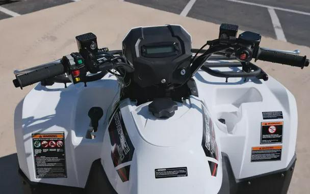 2025 KAWASAKI BRUTE FORCE 450 4X4