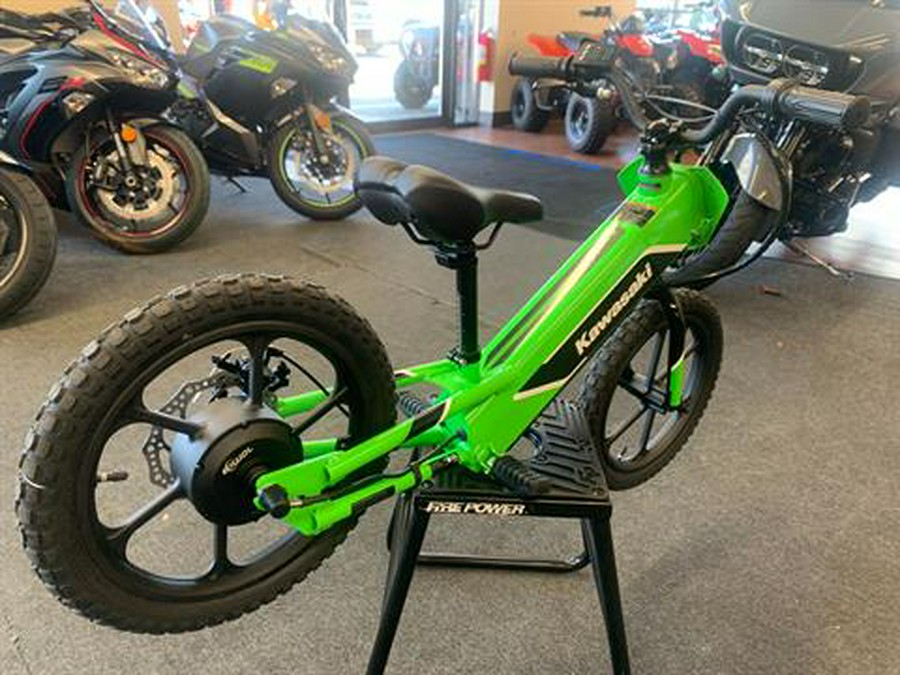 2023 Kawasaki Elektrode