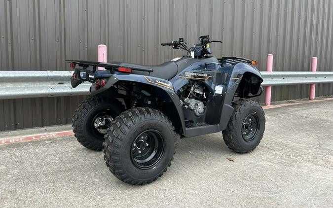 2025 Kawasaki Brute Force 300