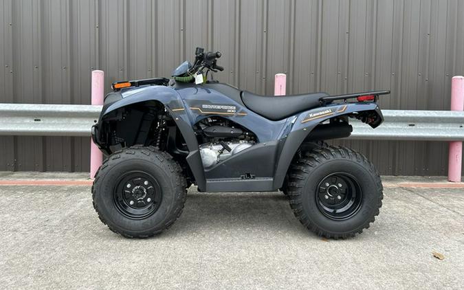 2025 Kawasaki Brute Force 300