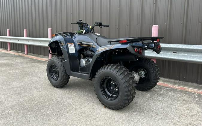 2025 Kawasaki Brute Force 300