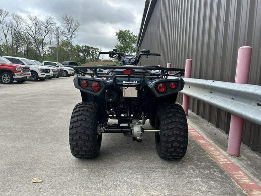 2025 Kawasaki Brute Force 300