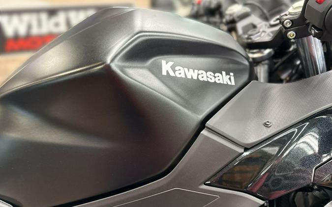 2026 Kawasaki NINJA 500