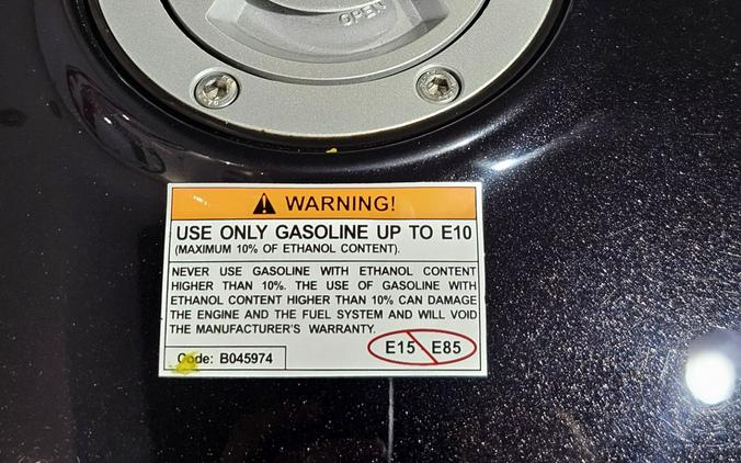 2024 Aprilia Tuono 660 Factory