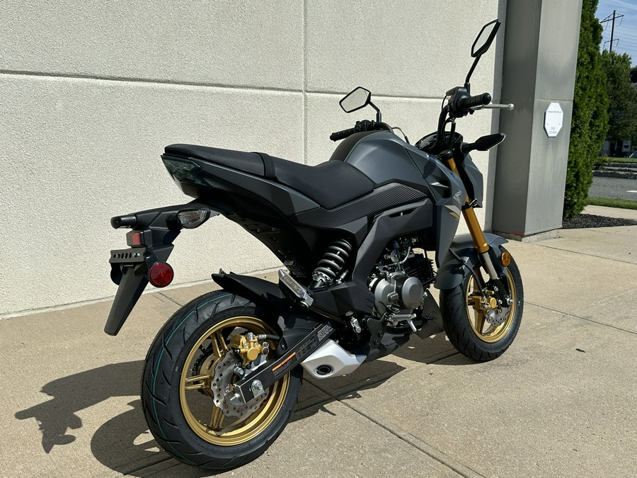 2024 Kawasaki Z125 PRO