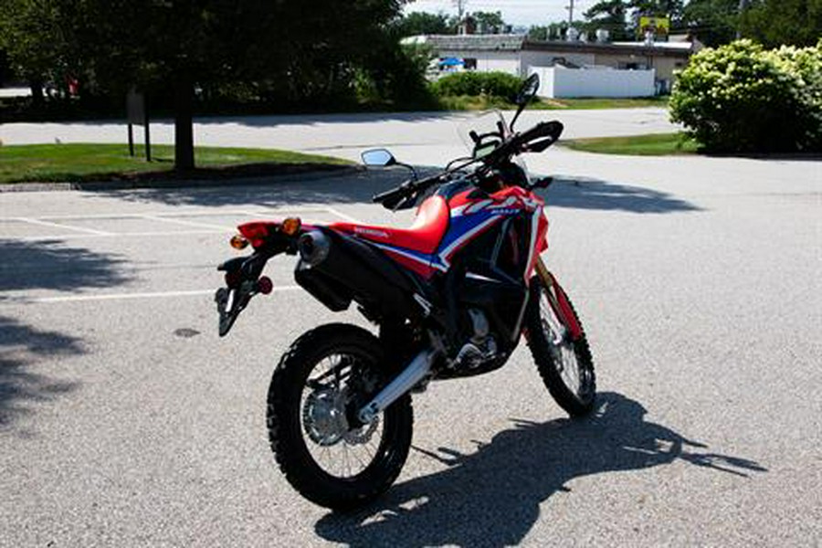 2024 Honda CRF300L Rally