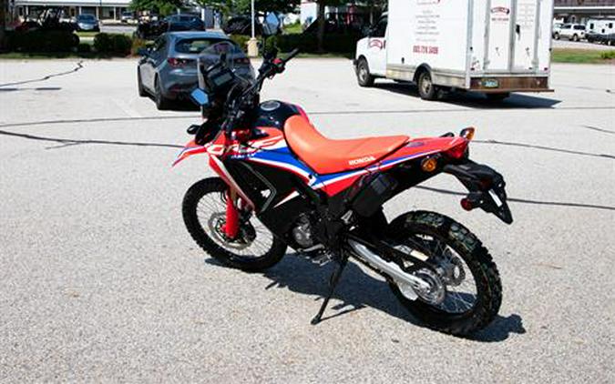 2024 Honda CRF300L Rally