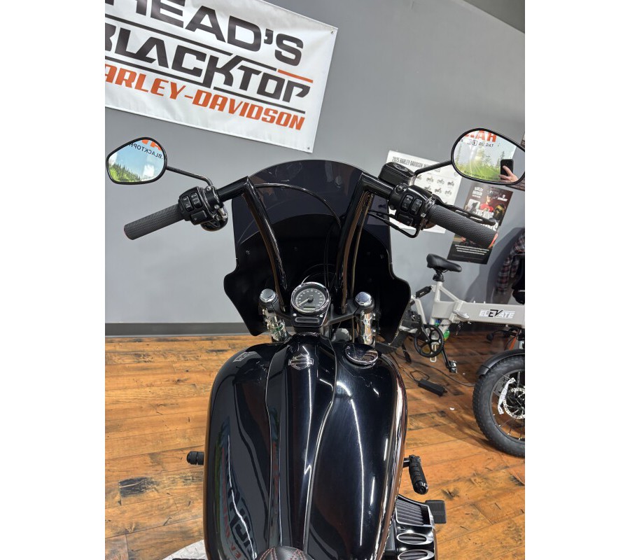 2011 Harley-Davidson® Blackline® BLACK W/PINSTRIPE