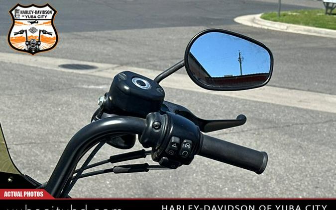 2021 Harley-Davidson Iron 1200