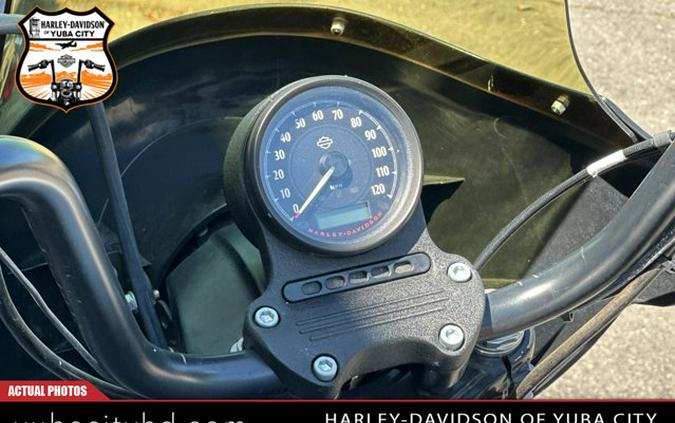 2021 Harley-Davidson Iron 1200