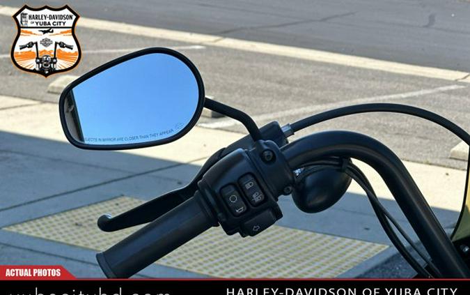 2021 Harley-Davidson Iron 1200