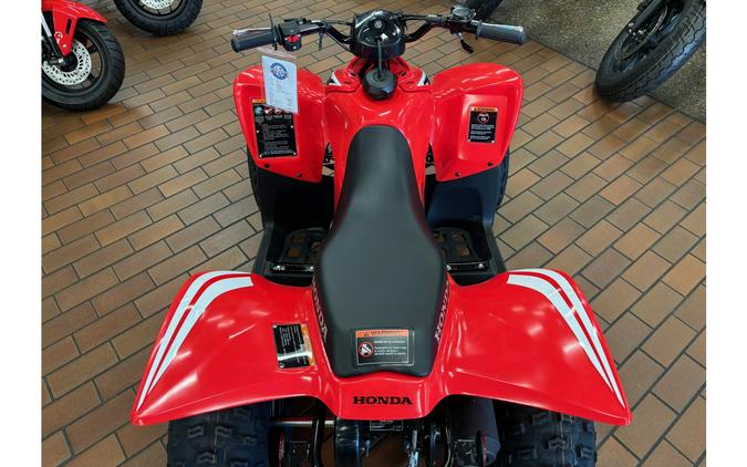 2025 Honda TRX90X