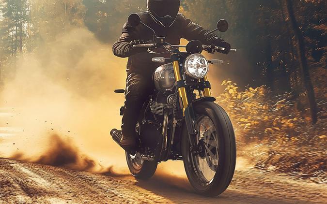 2025 Royal Enfield Bear 650