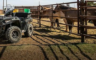 2024 Polaris Sportsman 450 HO