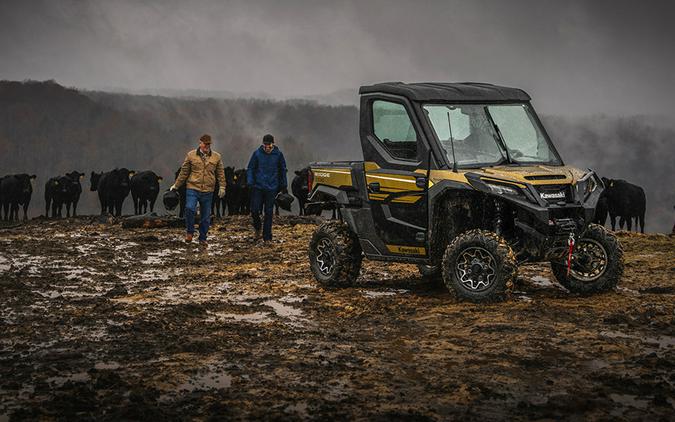 2025 Kawasaki RIDGE® Limited HVAC