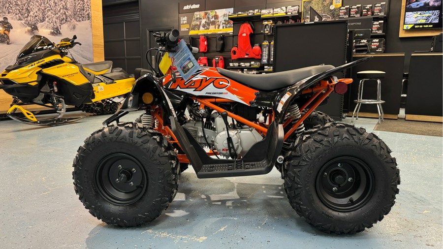 2025 Kayo Predator 110
