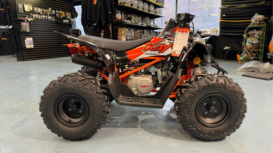 2025 Kayo Predator 110