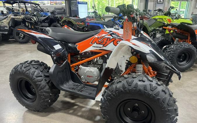 2026 Kayo Predator 110