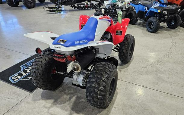 2026 Honda TRX 250X