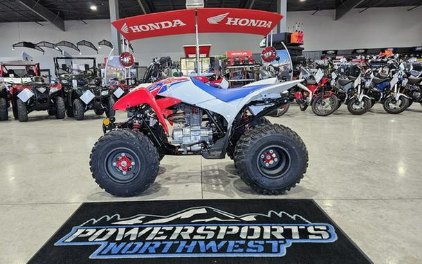 2026 Honda TRX 250X