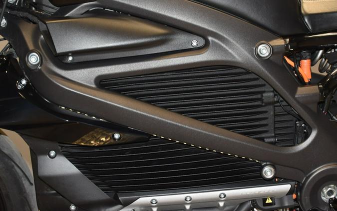 2020 Harley-Davidson LiveWire