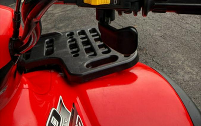 2003 Polaris SPORTSMAN 500 HO