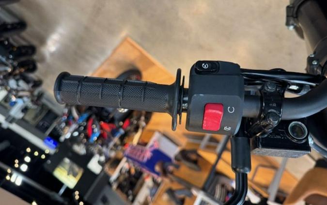 2024 Kawasaki KLX 300SM