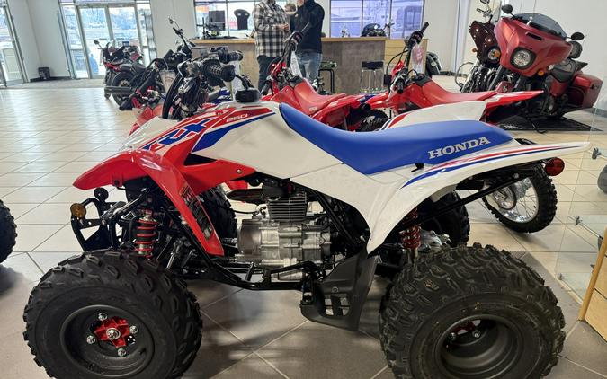 2026 Honda TRX250X