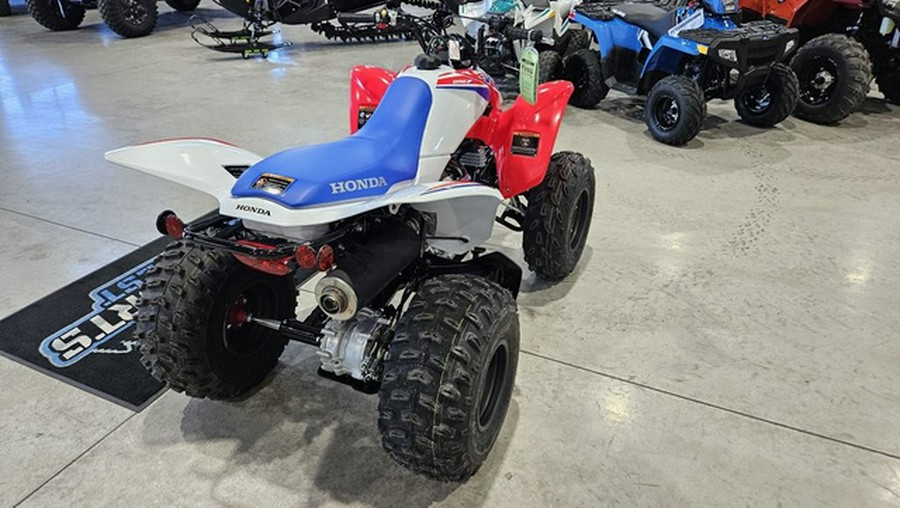 2026 Honda TRX 250X