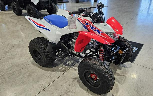 2026 Honda TRX 250X