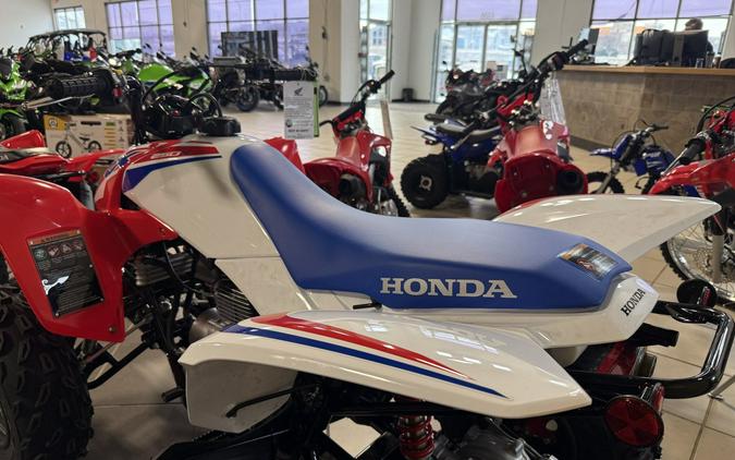 2026 Honda TRX 250X