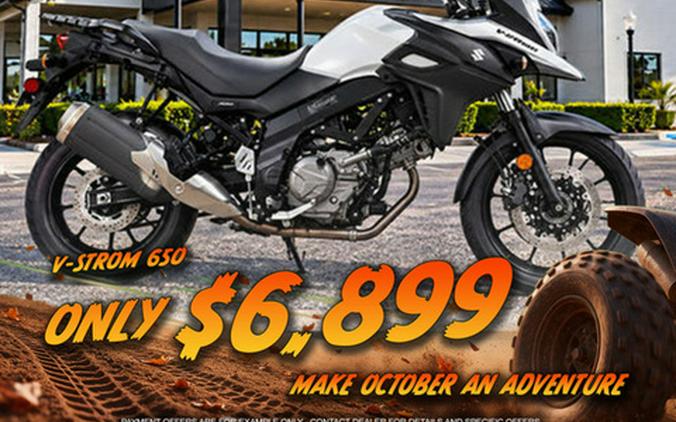 2019 Suzuki V-Strom 650