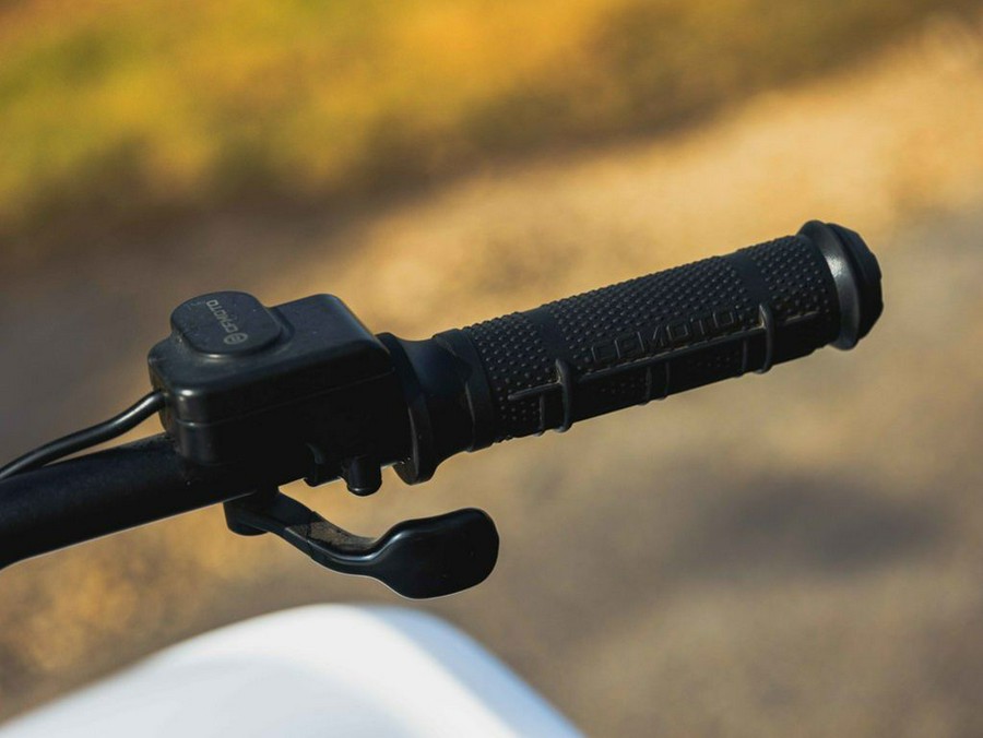 2024 CFMOTO CFORCE EV110