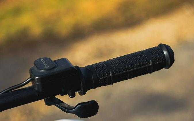 2024 CFMOTO CFORCE EV110