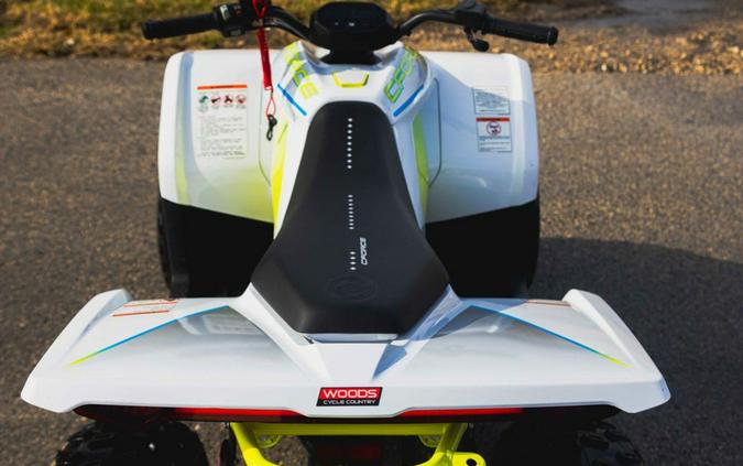 2024 CFMOTO CFORCE EV110