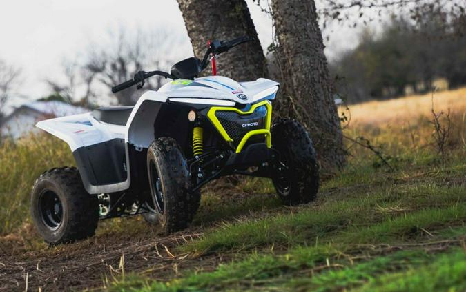 2024 CFMOTO CFORCE EV110