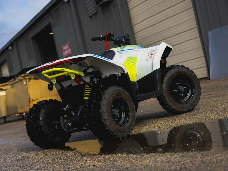 2024 CFMOTO CFORCE EV110