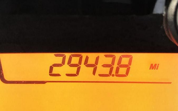 2022 Can-Am Ryker Rally 900 ACE - FP8359