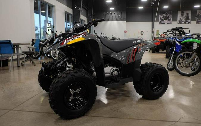 New 2024 POLARIS PHOENIX 200GRAY49S