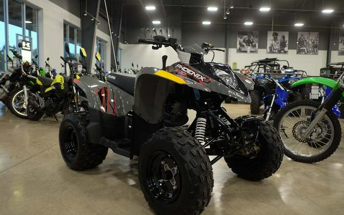 New 2024 POLARIS PHOENIX 200GRAY49S