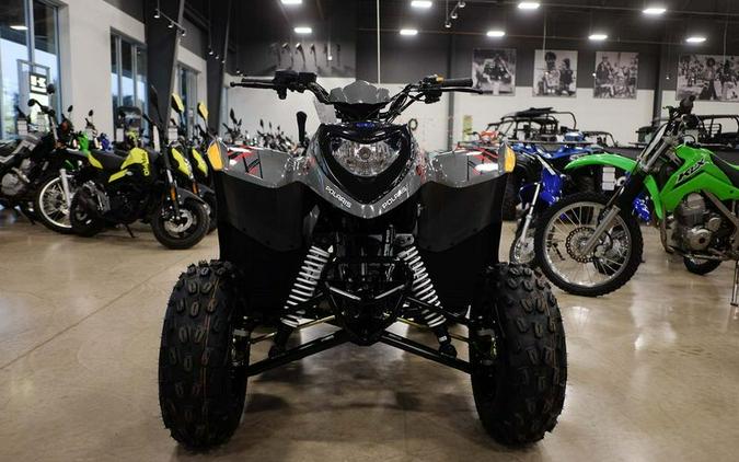 New 2024 POLARIS PHOENIX 200GRAY49S