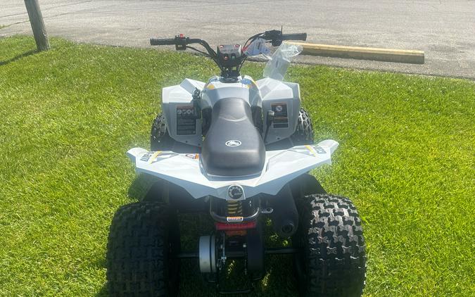 2026 Can-Am Renegade 110 EFI
